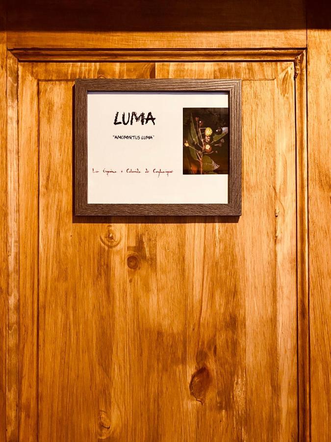 קויאיקה Hostal Esquina Patagonica מראה חיצוני תמונה